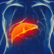 Obesity & NAFLD